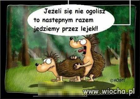 Golenie