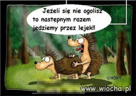 Golenie