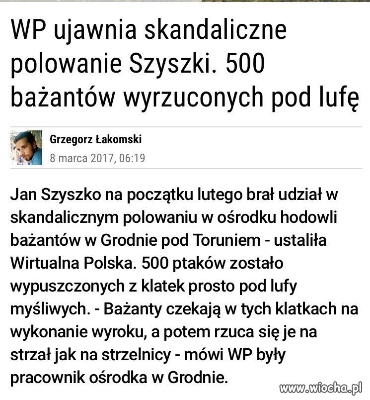 A tym czasem w pisowskim bizancjum 