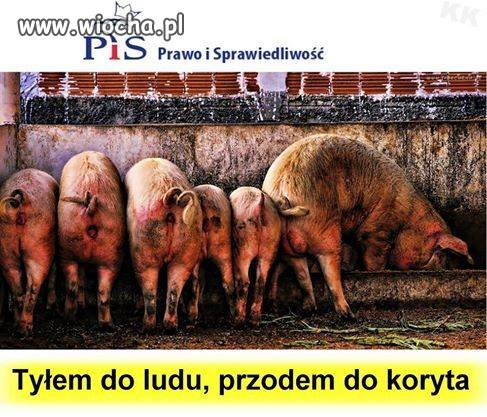 Dzisiejsza ekipa