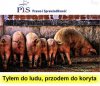 Dzisiejsza ekipa