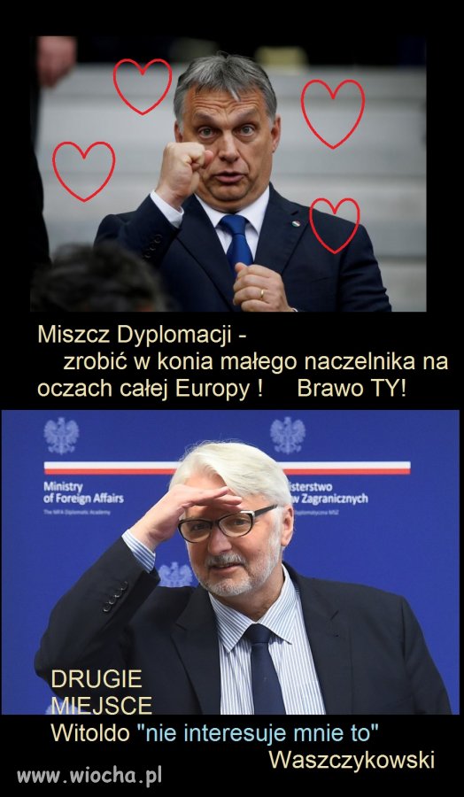 Miszcze!