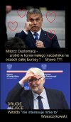 Miszcze!