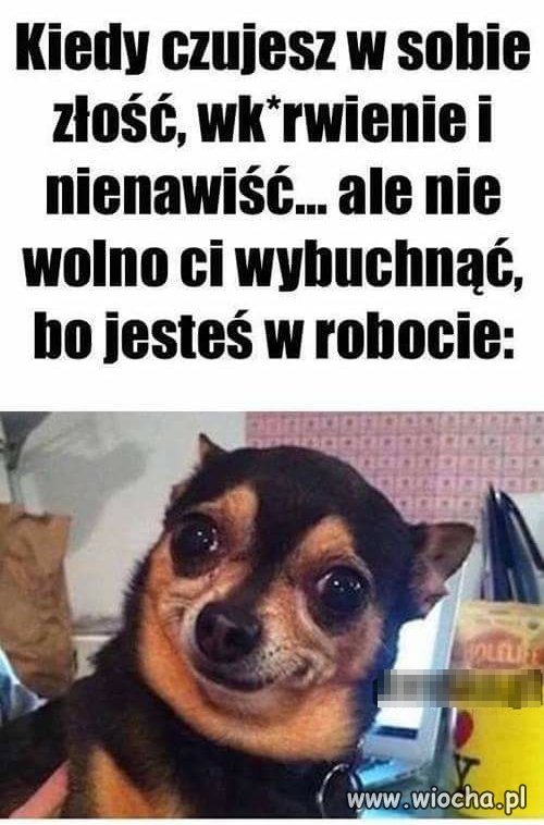 Wiem 