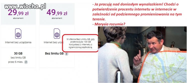 Procent internetu w internecie