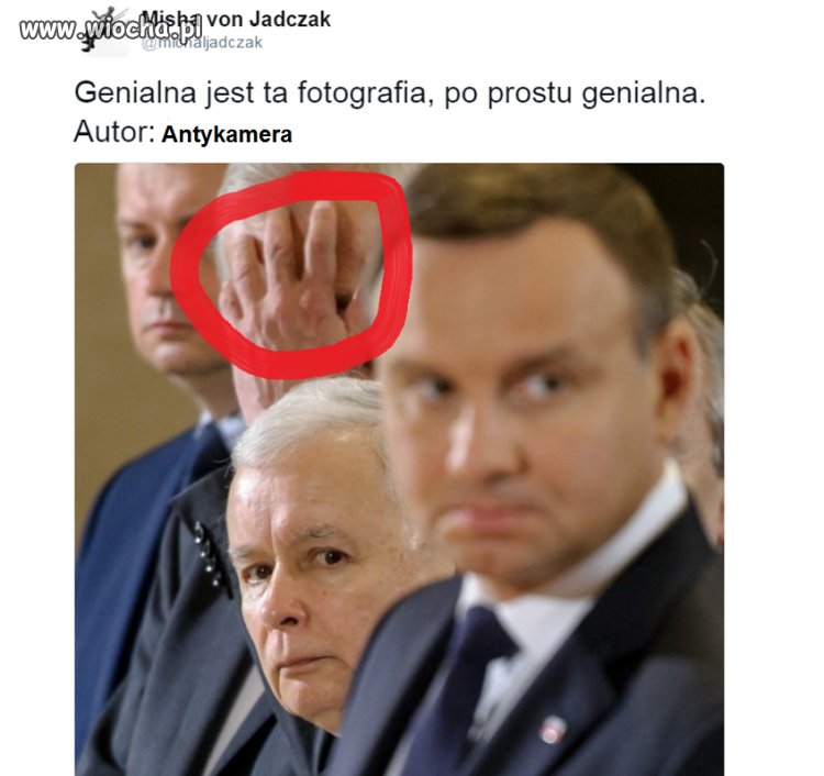 Miszcz