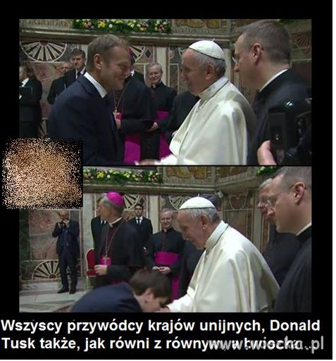 W pytę