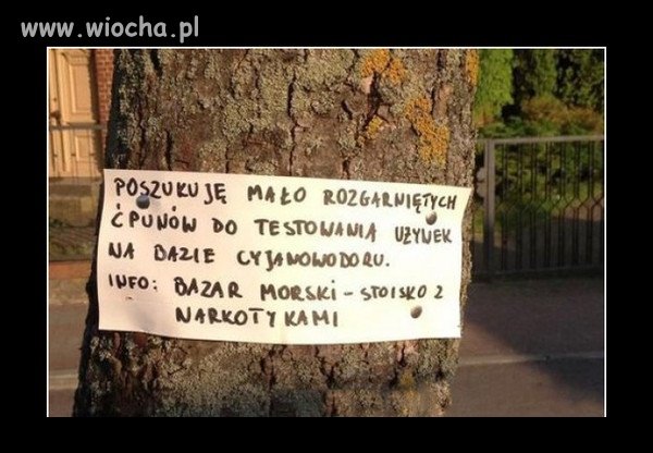 Wiadomość do małorozgarniętych ćpunów.