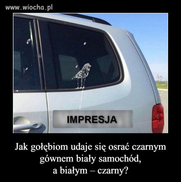 Impresja
