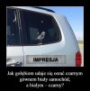 Impresja