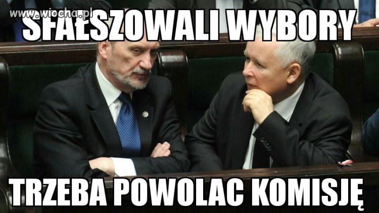 Wybory 