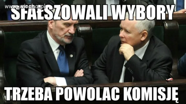 Wybory 