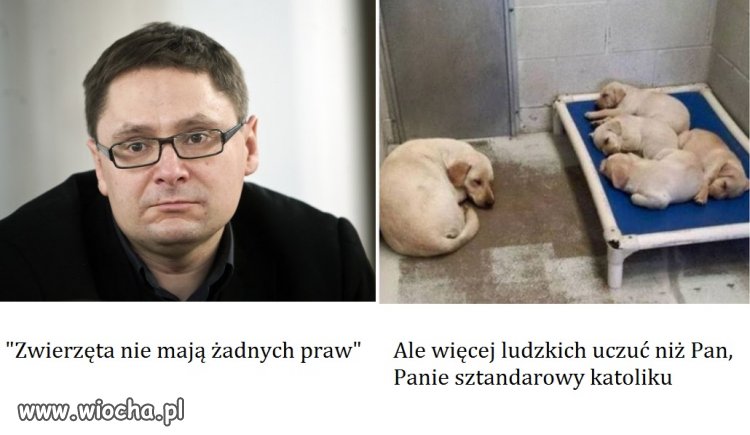 Sztandarowy katolik