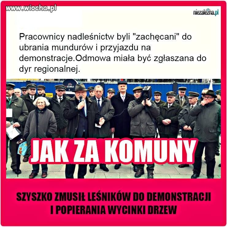 Komuna pełną gębą 