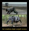 Wszystko jasne
