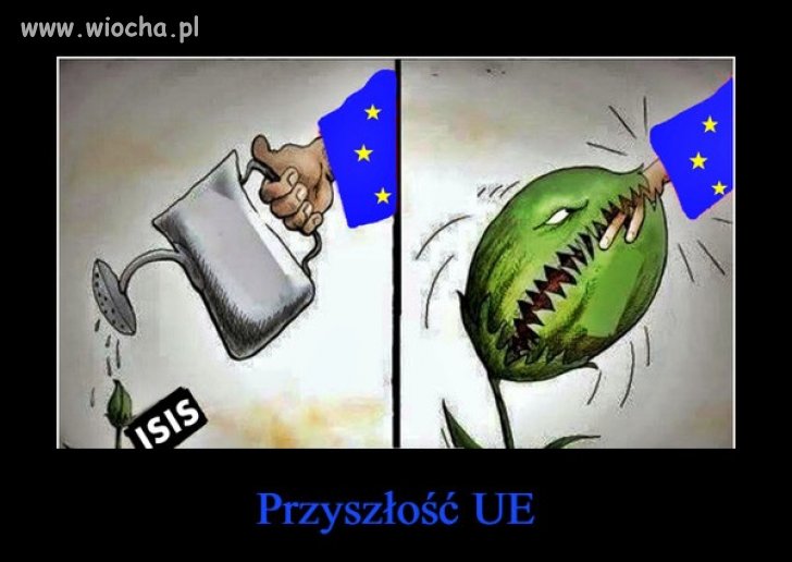 Nic dodać, nic ująć