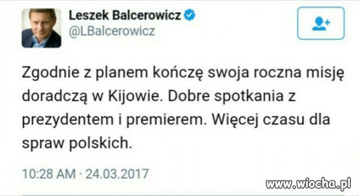 Tłumacze :