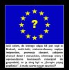 Kierunek ważniejszy niż prędkość.