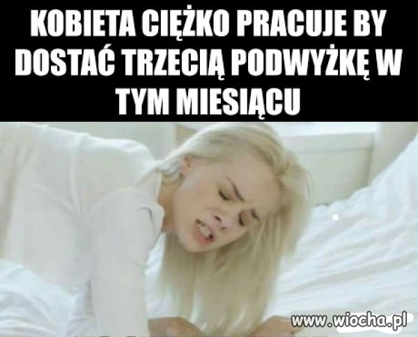 Tygrysica w pracy.