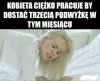 Tygrysica w pracy.