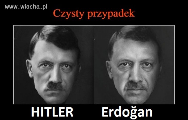 Przypadek