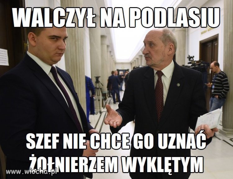 Problem Misiewicza 