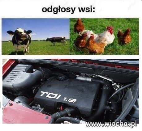Odgłosy wsi