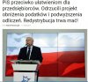 Pis przeciwko