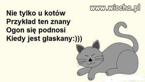 Miłego poniedziałku