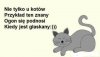 Miłego poniedziałku