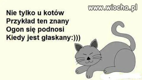 Miłego poniedziałku