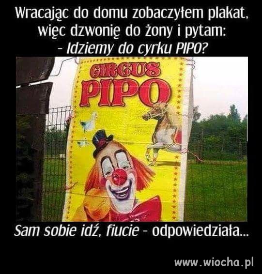 Zadzwonił