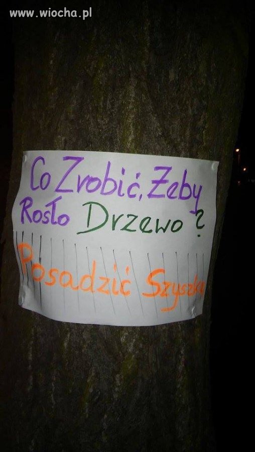 Ogłoszenie