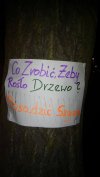 Ogłoszenie