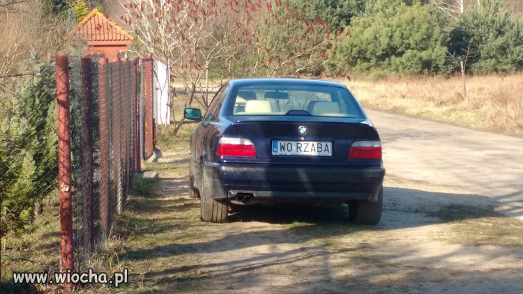 Znawca ortografii BMW Radom