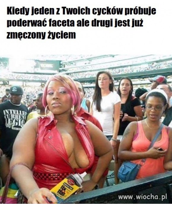 Cycek...