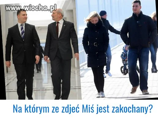 Dobrym ogierem musi być