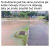 Totalna Wiocha