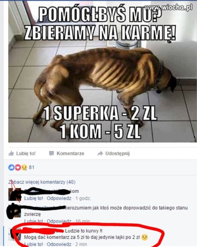 No właśnie ludzie to...