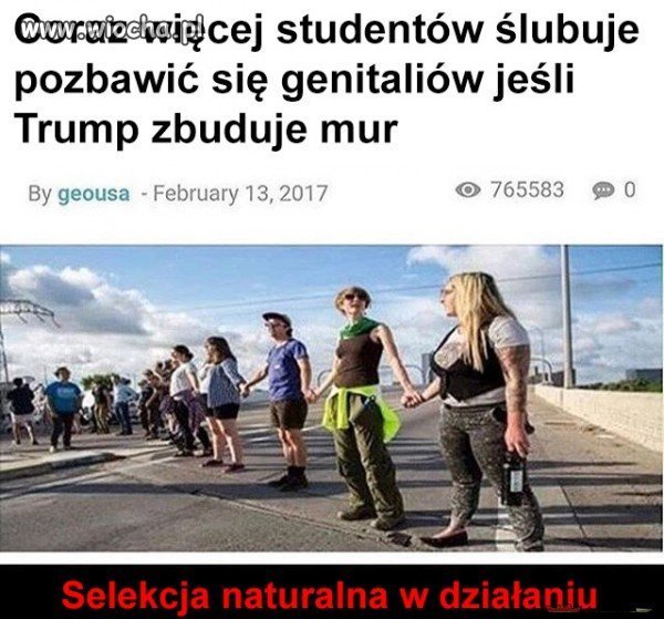 Wysoka inteligencja amerykańców