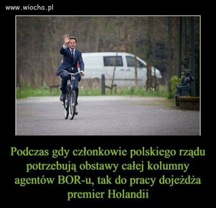 I jakoś na drzewie nie ląduje. 