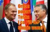 Największy 'sojusznik' Kaczyńskiego poparł Tuska