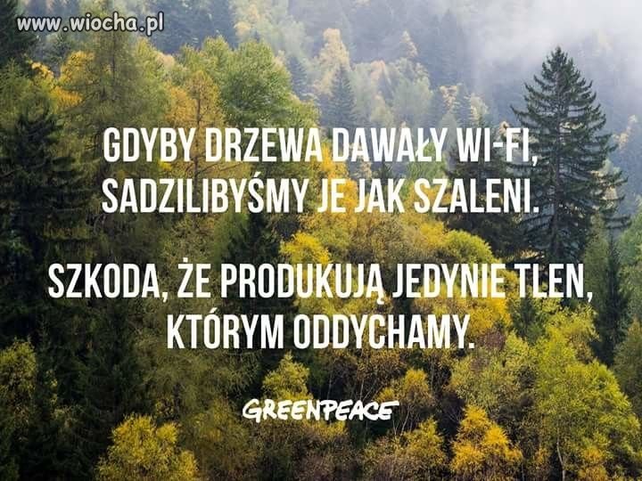 Tlen   