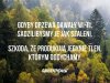 Tlen   
