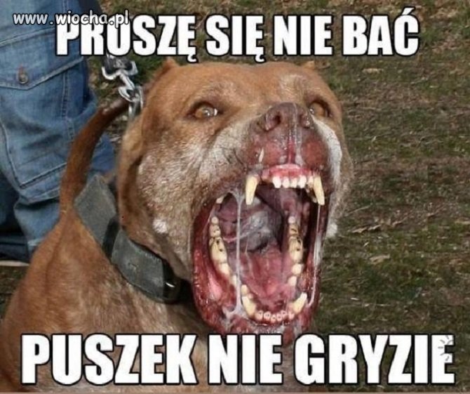 Tak jest w Polsce