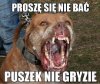 Tak jest w Polsce