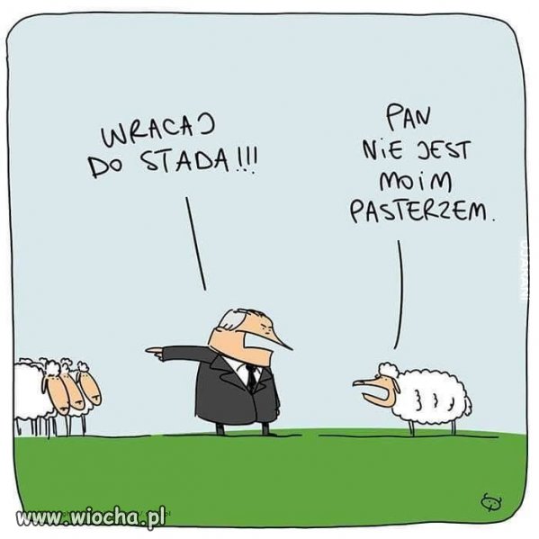 Może w końcu