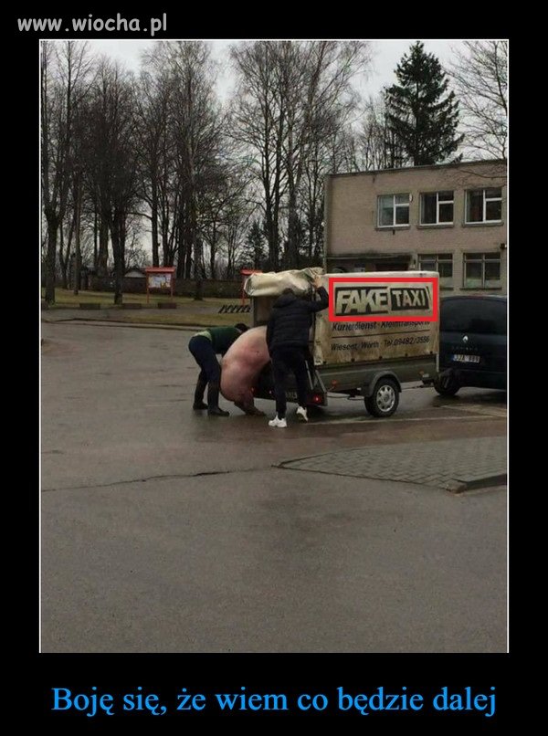 Coś dla koneserów filmów "przyrodniczych"