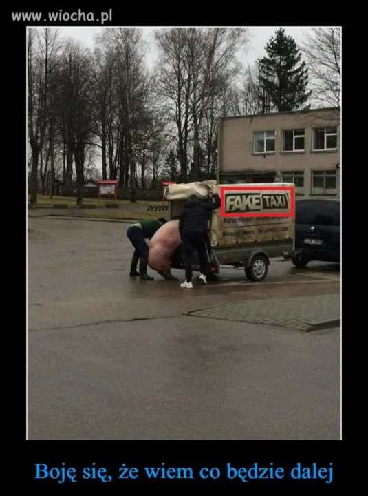 Coś dla koneserów filmów "przyrodniczych"