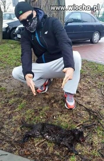 Klasyczne wieśniactwo i chwalenie się nim na FB